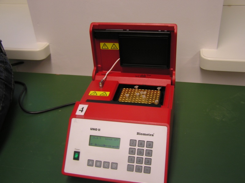 p1010006.jpg