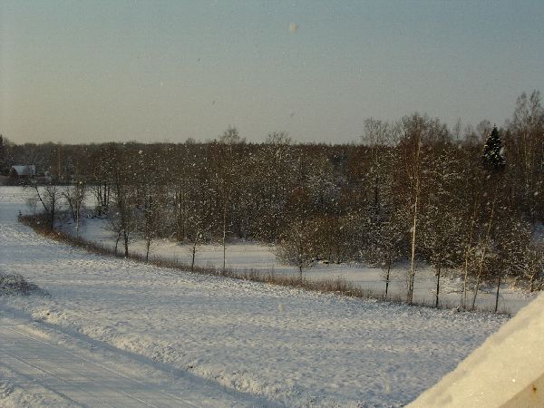 IMGP7426.JPG