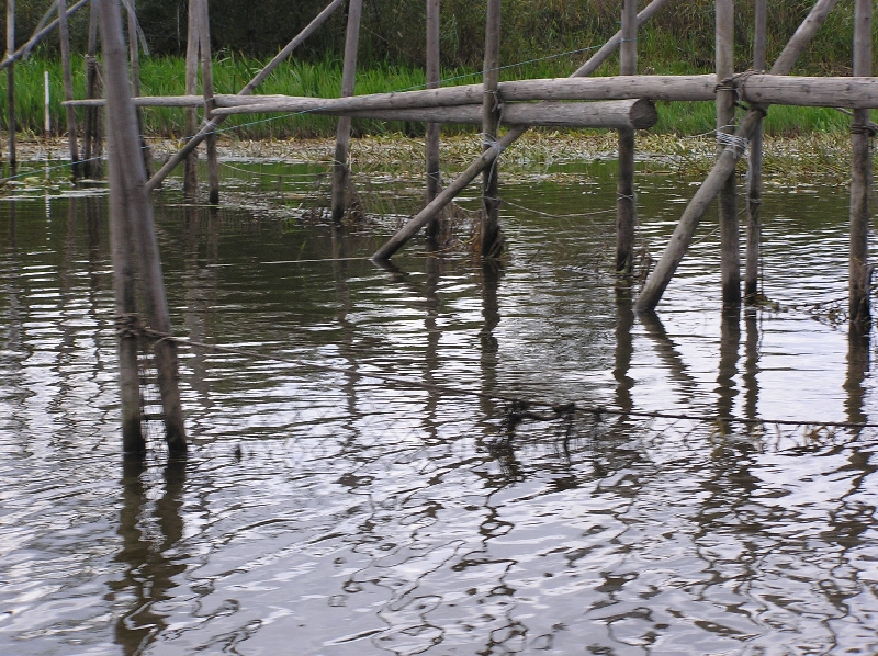laup046.JPG
