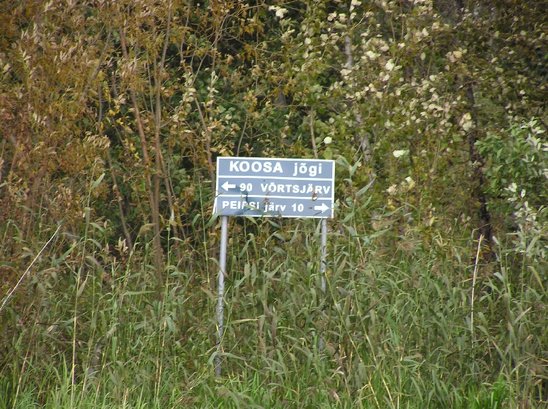 laup049.JPG