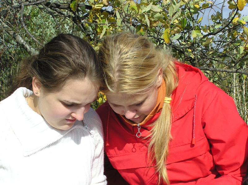 laup123.JPG
