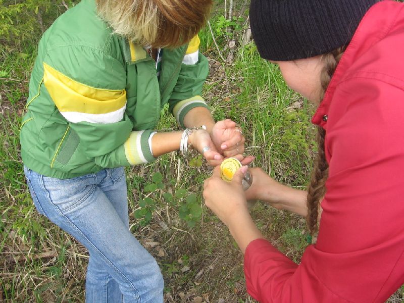 IMG_0147.JPG