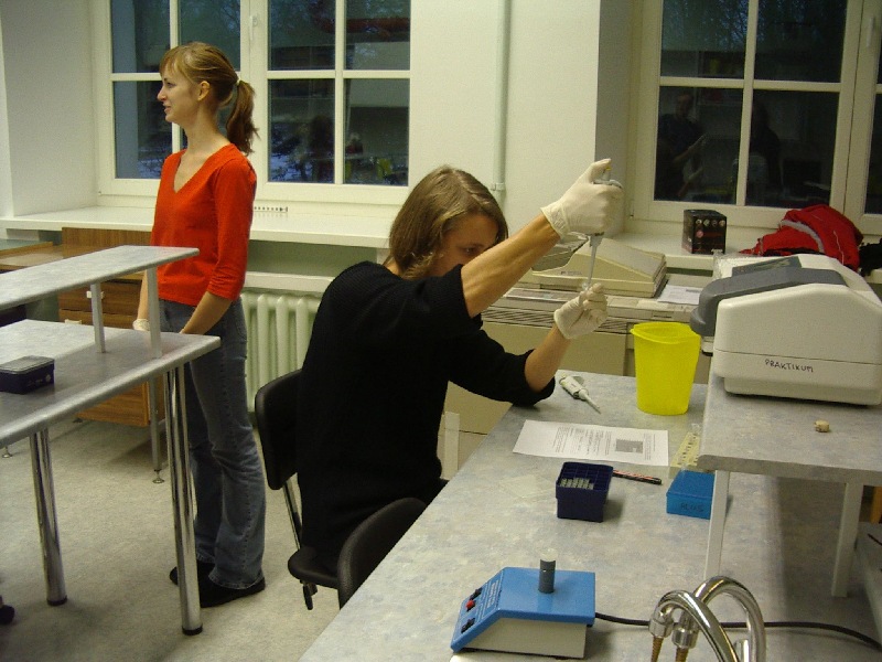 10c_15.jpg