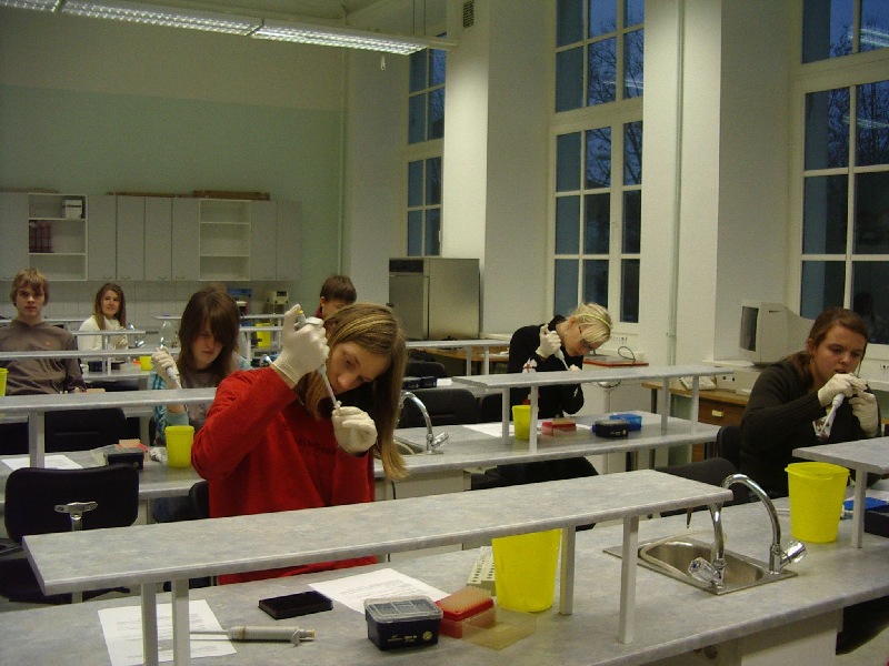 10c_16.jpg