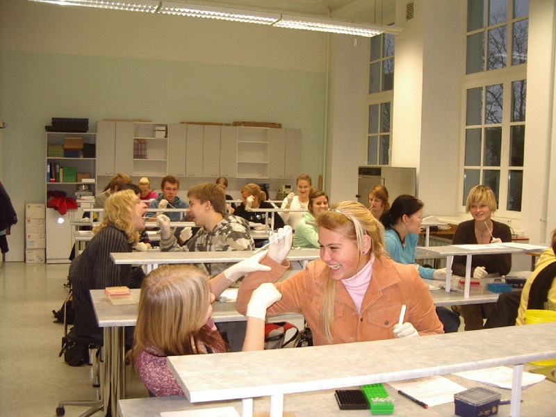 12b_1.jpg