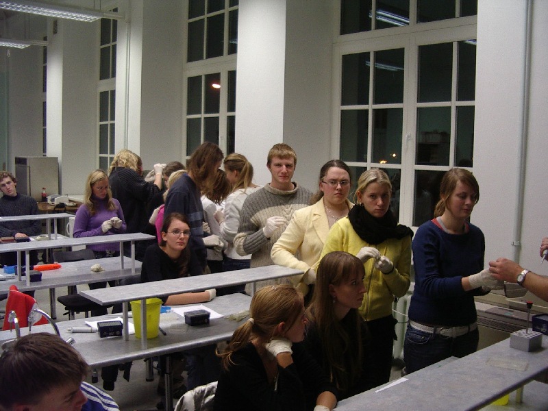 12b_11.jpg