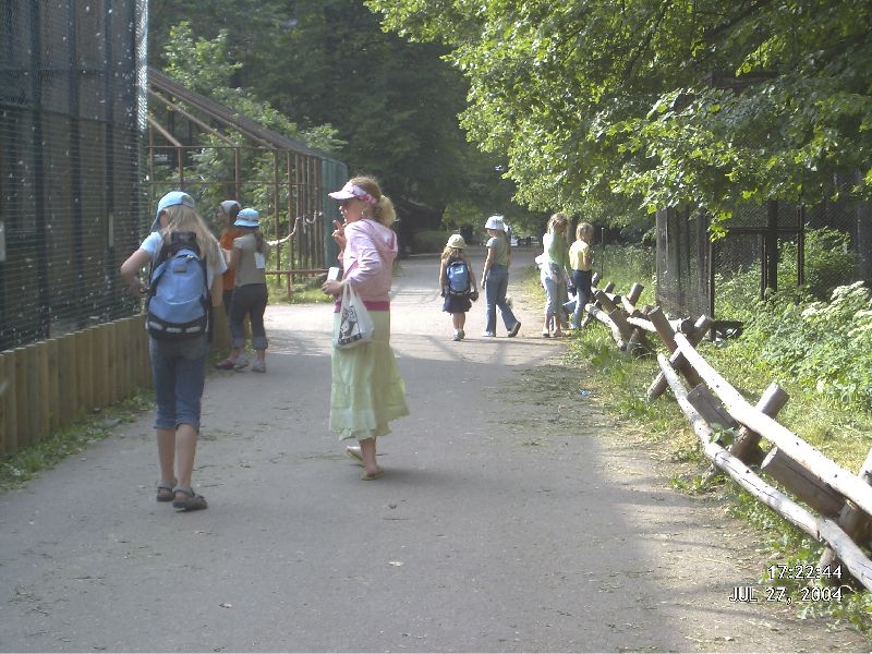 DMC_0010.JPG