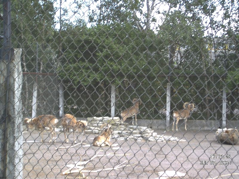 DMC_0014.JPG