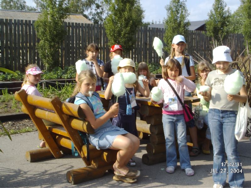 DMC_0018.JPG