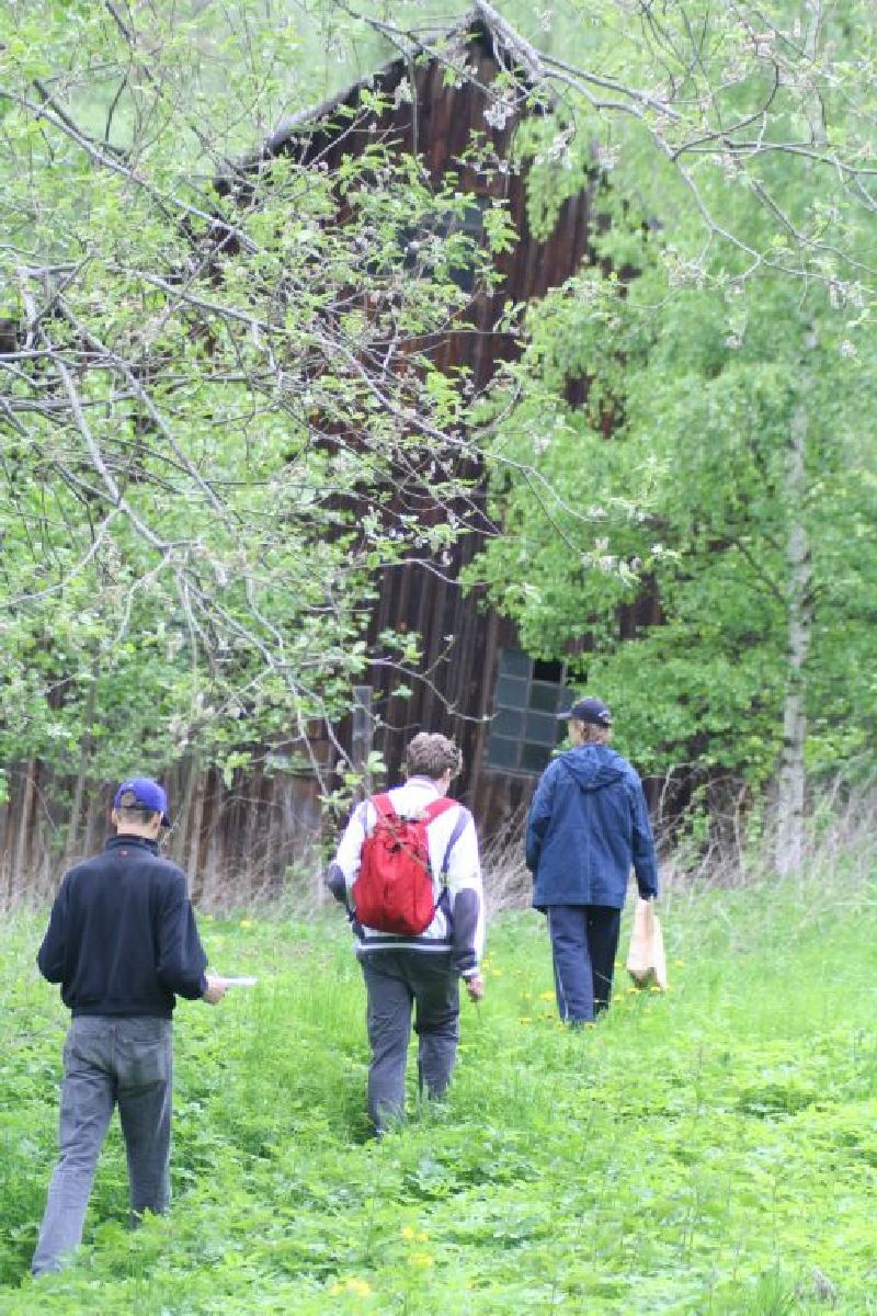10bkarulas2006-034.jpg