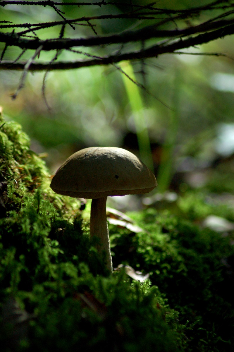 DSC_0073.jpg