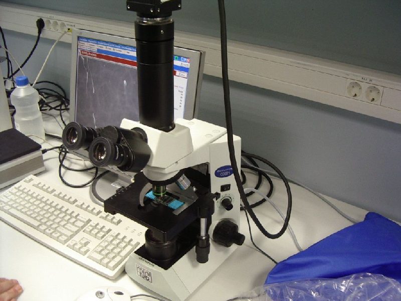 000410c_embryotehnol_0708.jpg