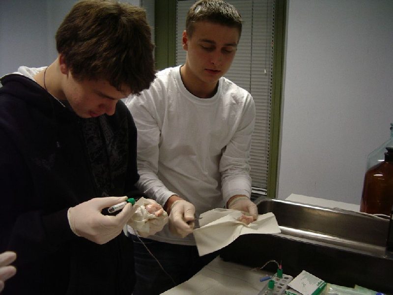000510c_embryotehnol_0708.jpg