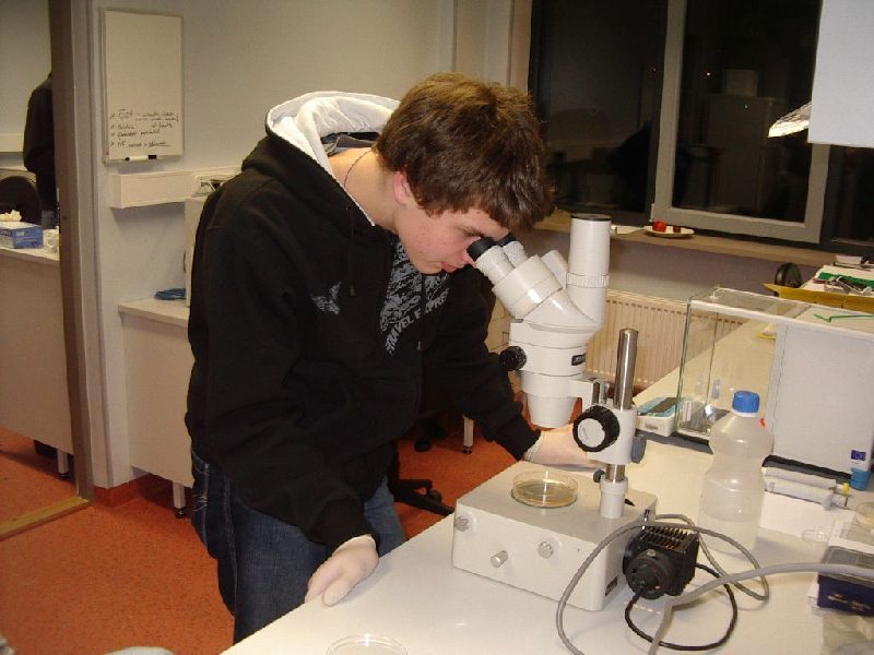 000610c_embryotehnol_0708.jpg