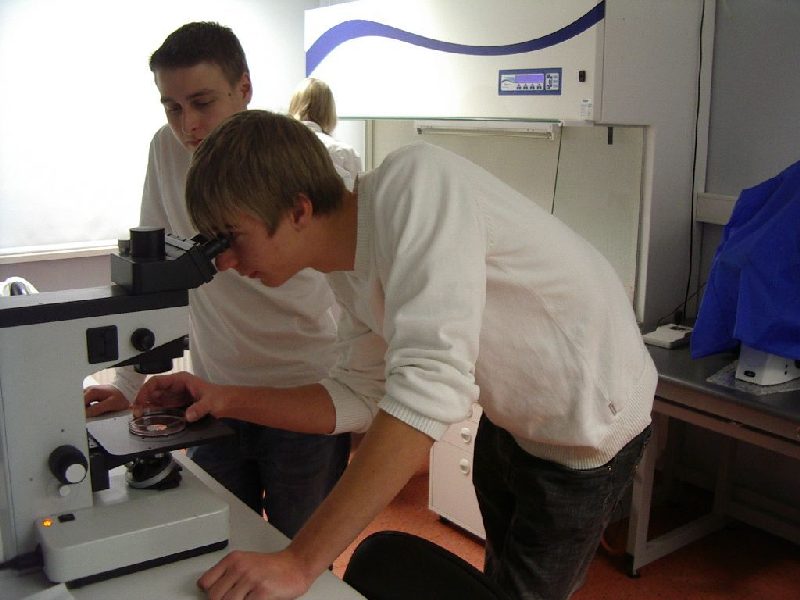 000710c_embryotehnol_0708.jpg