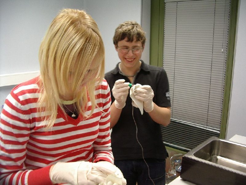 000810c_embryotehnol_0708.jpg
