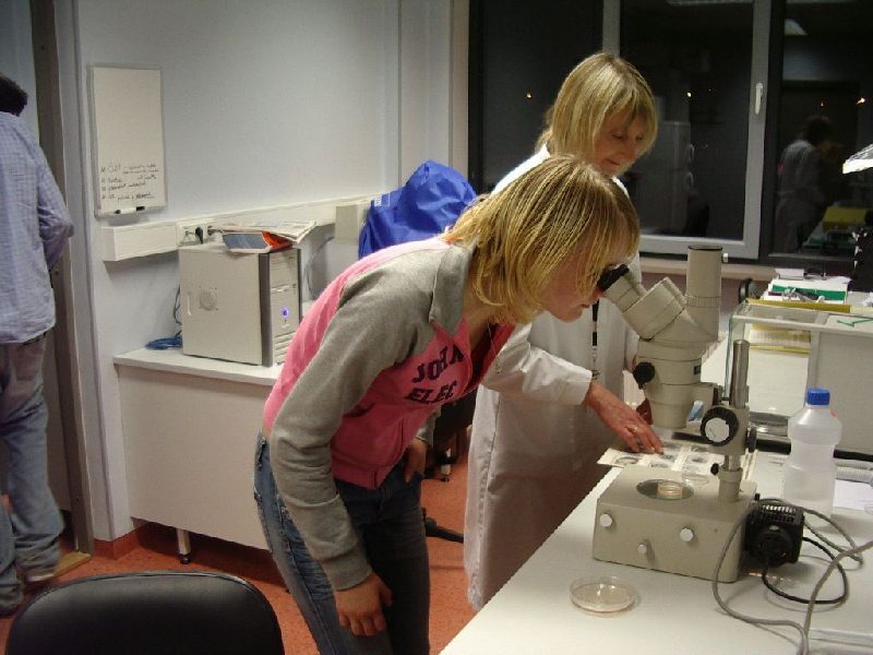 001010c_embryotehnol_0708.jpg