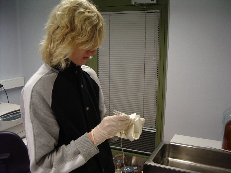 001110c_embryotehnol_0708.jpg