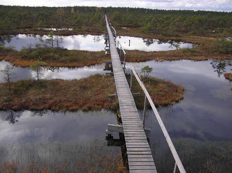 P1010338.JPG