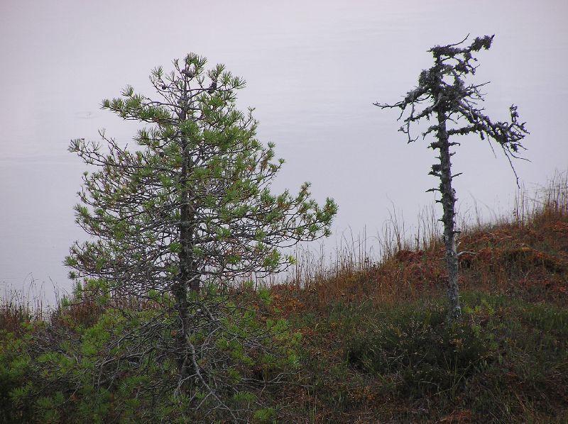 P1010341.JPG