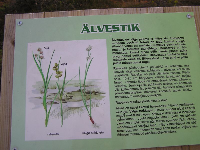 P1010344.JPG