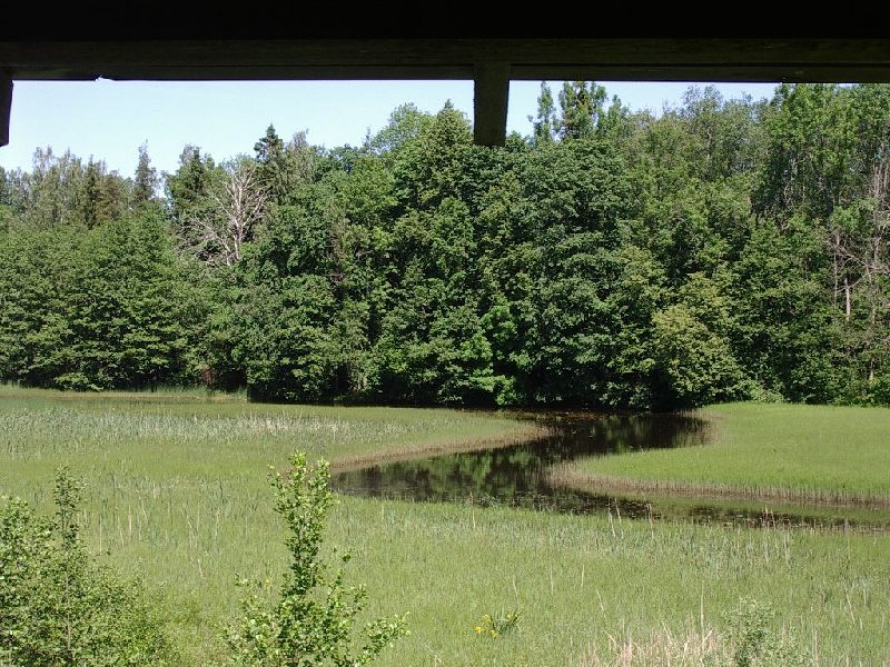 IMGP0811.JPG