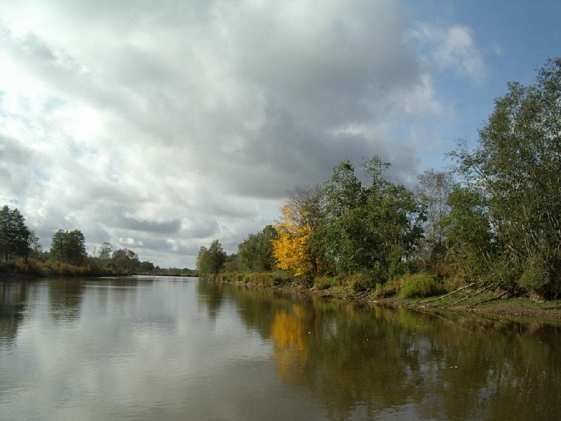 IMGP1207.JPG