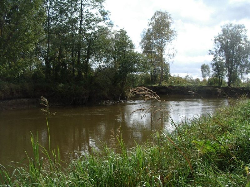 IMGP1219.JPG