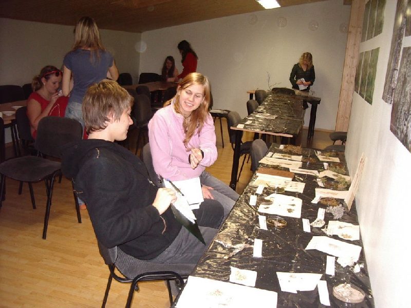 001510b_pung0708.jpg