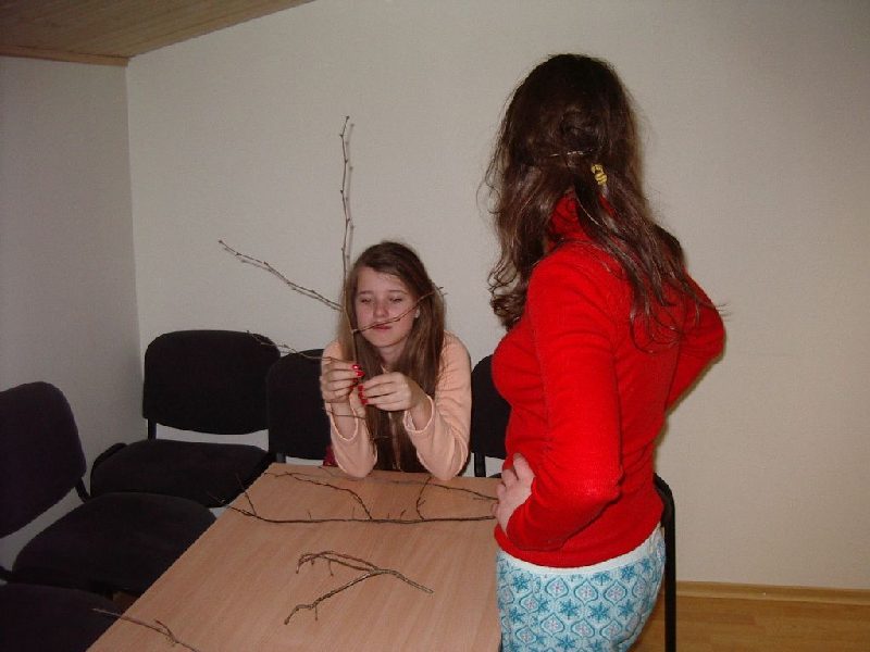 001610b_pung0708.jpg