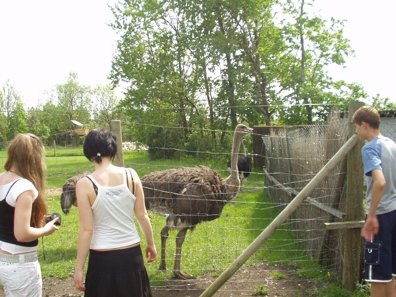 saaremaa06.jpg