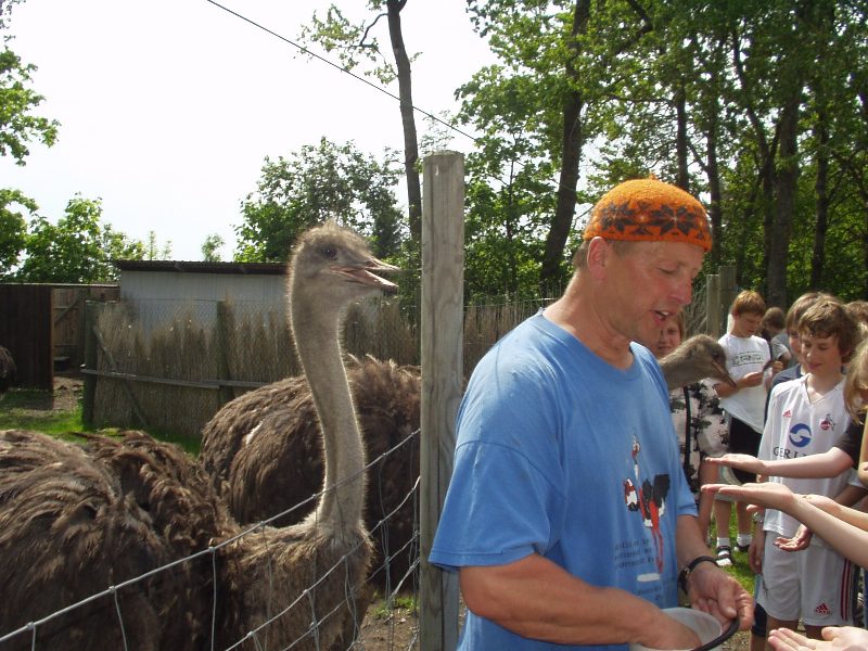 saaremaa08.jpg