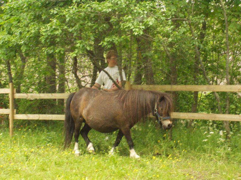 saaremaa13.jpg