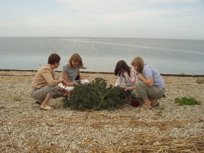 saaremaa22.jpg