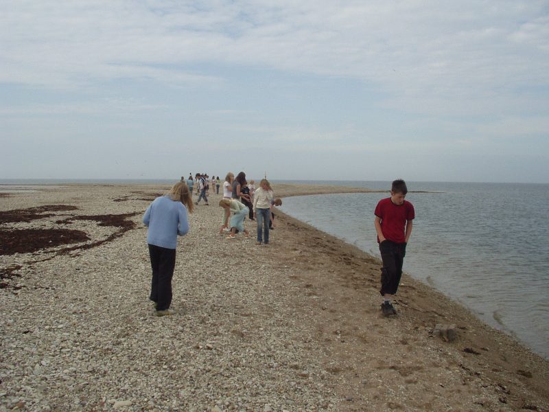 saaremaa23.jpg