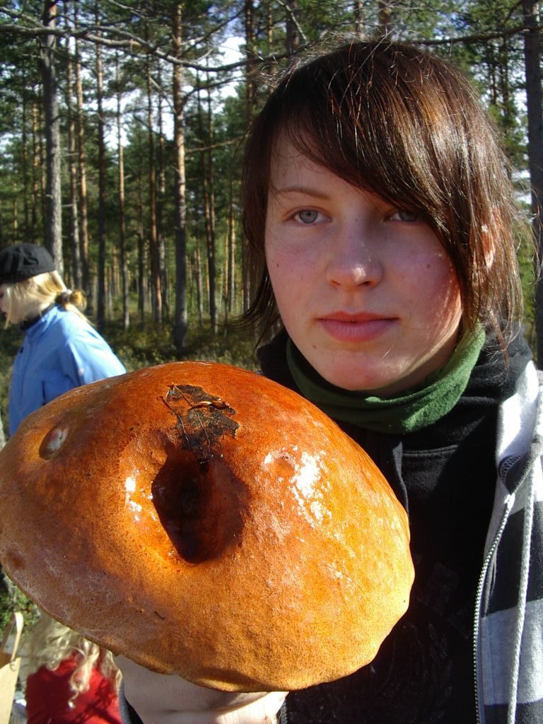 IMGP1114.JPG