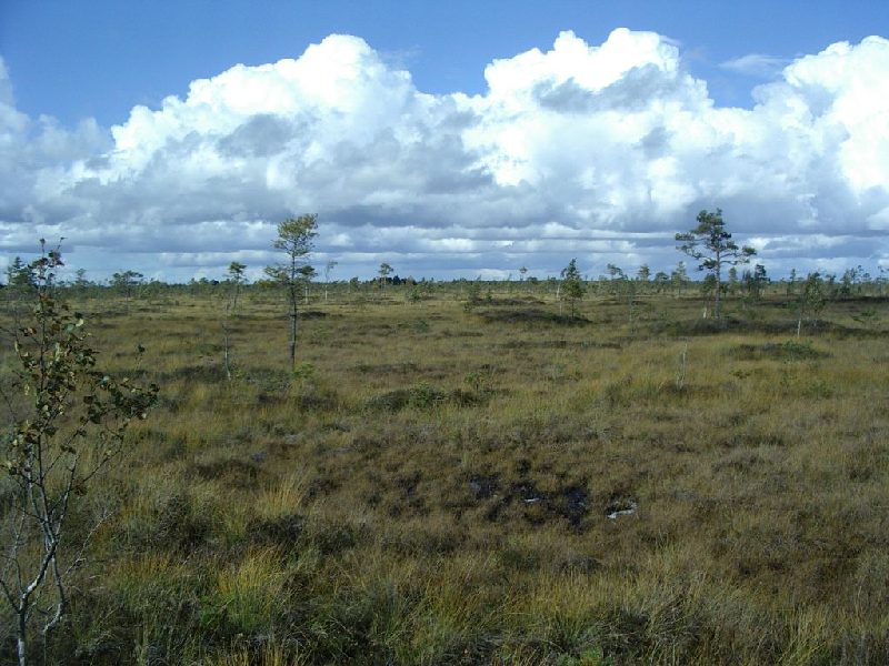 IMGP1115.JPG