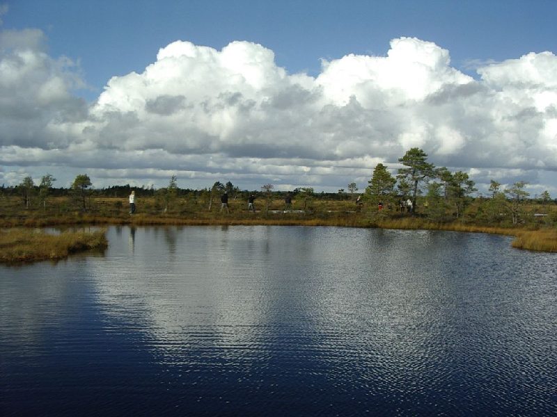 IMGP1116.JPG