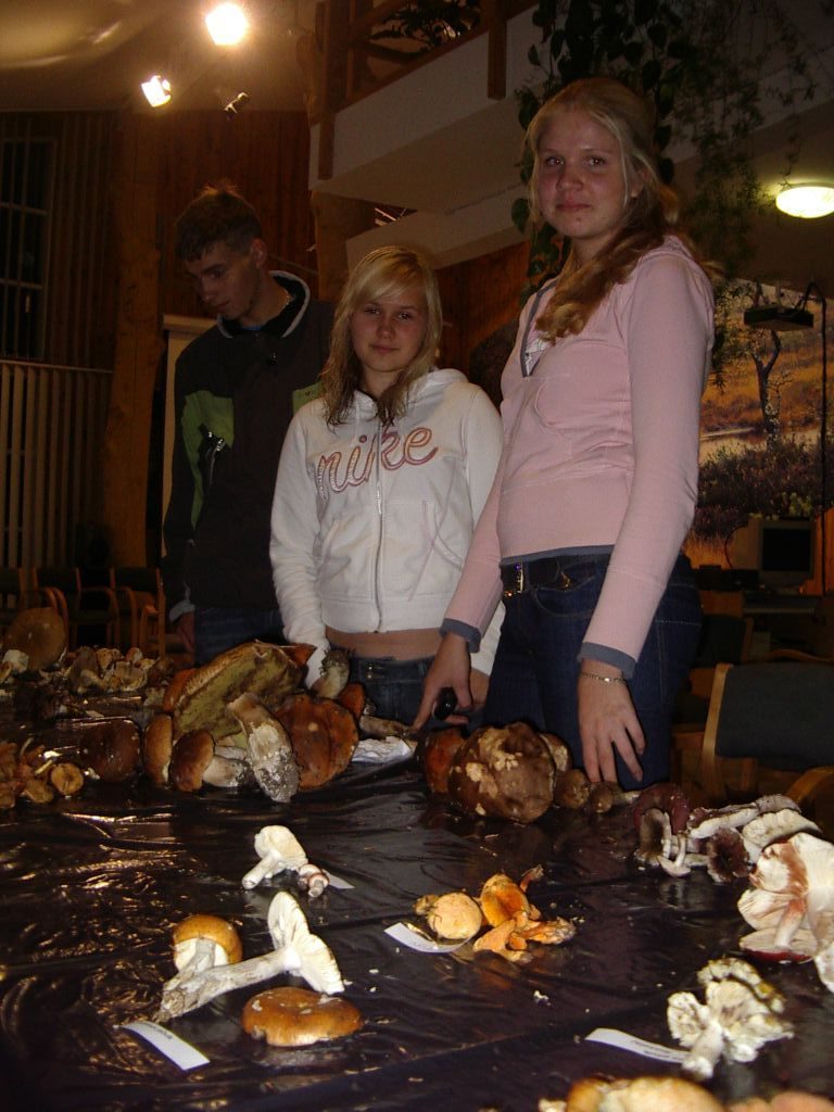 IMGP1128.JPG