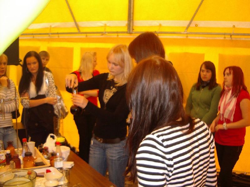 ahhaateadusfest08_0165.jpg