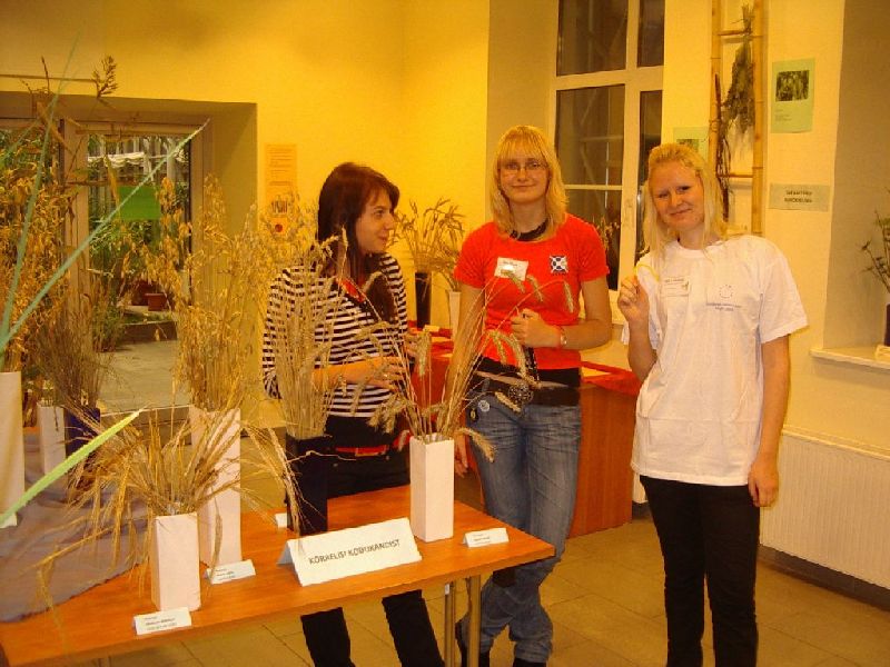 ahhaateadusfest08_0189.jpg