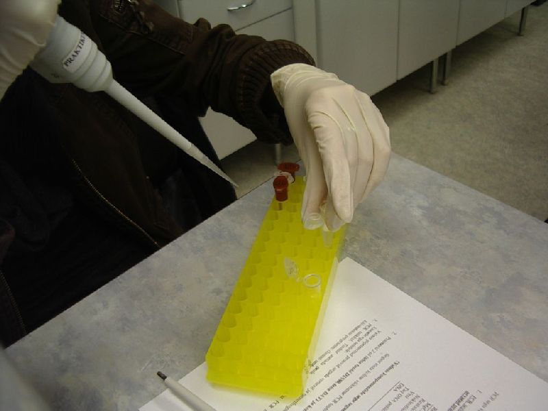 biotehno_0809_TYt004.jpg