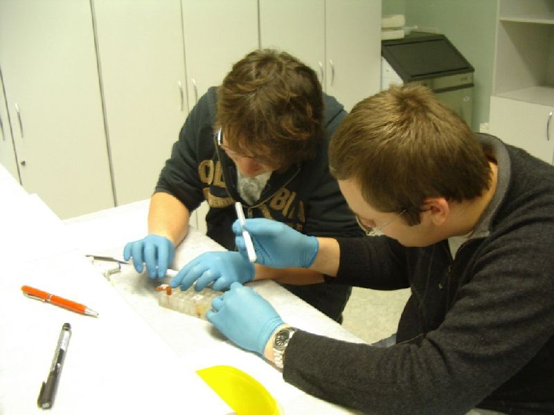 biotehno_0809_TYt016.jpg