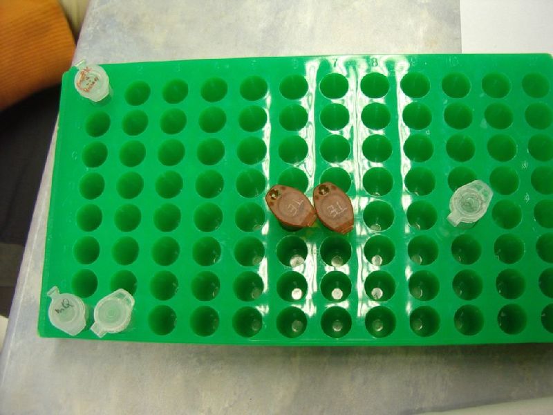 biotehno_0809_TYt020.jpg