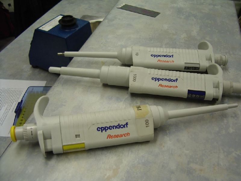 biotehno_0809_TYt033.jpg