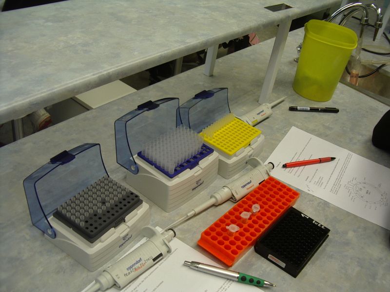 biotehnol_TY0809_10c0008.jpg