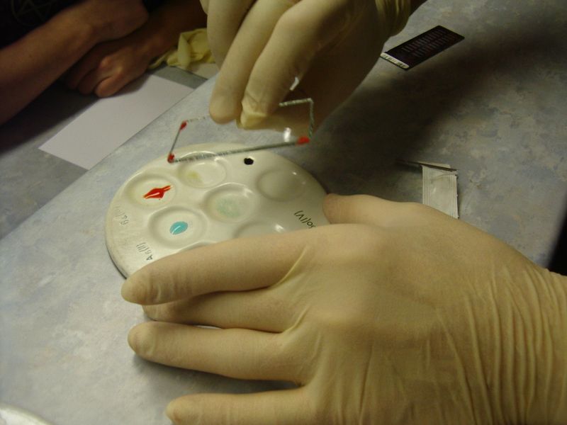 biotehnol_TY0809_10c0014.jpg