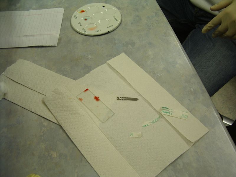 biotehnol_TY0809_10c0020.jpg