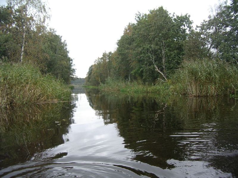 okol0809_11b_0014.jpg