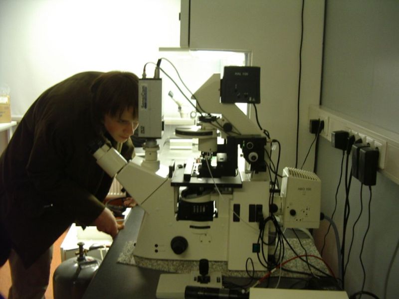 embryotehn08090001.jpg